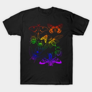 Sacred Bugs T-Shirt